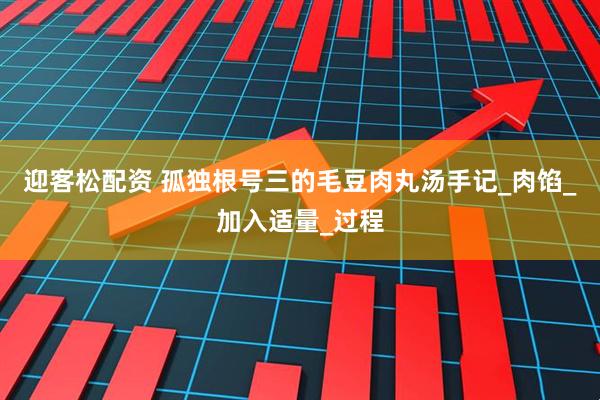 迎客松配资 孤独根号三的毛豆肉丸汤手记_肉馅_加入适量_过程