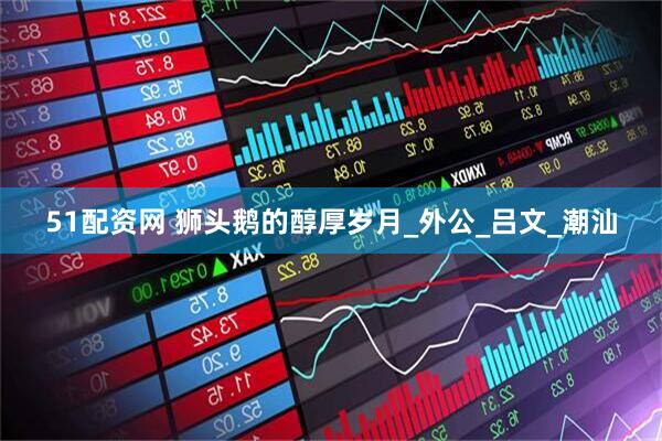 51配资网 狮头鹅的醇厚岁月_外公_吕文_潮汕