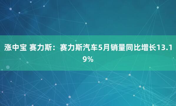涨中宝 赛力斯：赛力斯汽车5月销量同比增长13.19%