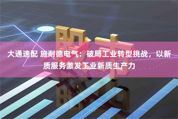 大通速配 施耐德电气：破局工业转型挑战，以新质服务激发工业新质生产力