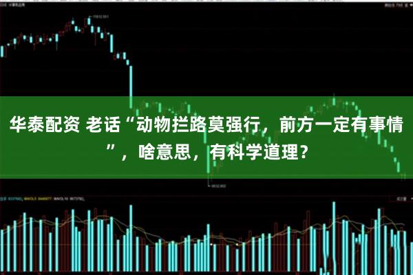 华泰配资 老话“动物拦路莫强行，前方一定有事情”，啥意思，有科学道理？